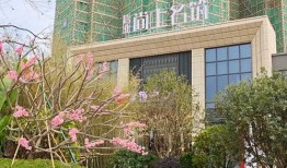 北海天天网最新爆料电话,揭秘神秘电话背后的惊人真相